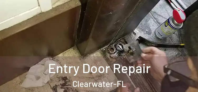  Entry Door Repair Clearwater-FL