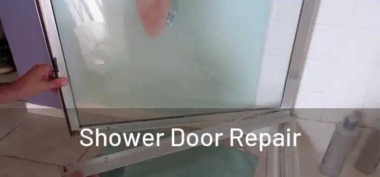  Shower Door Repair 